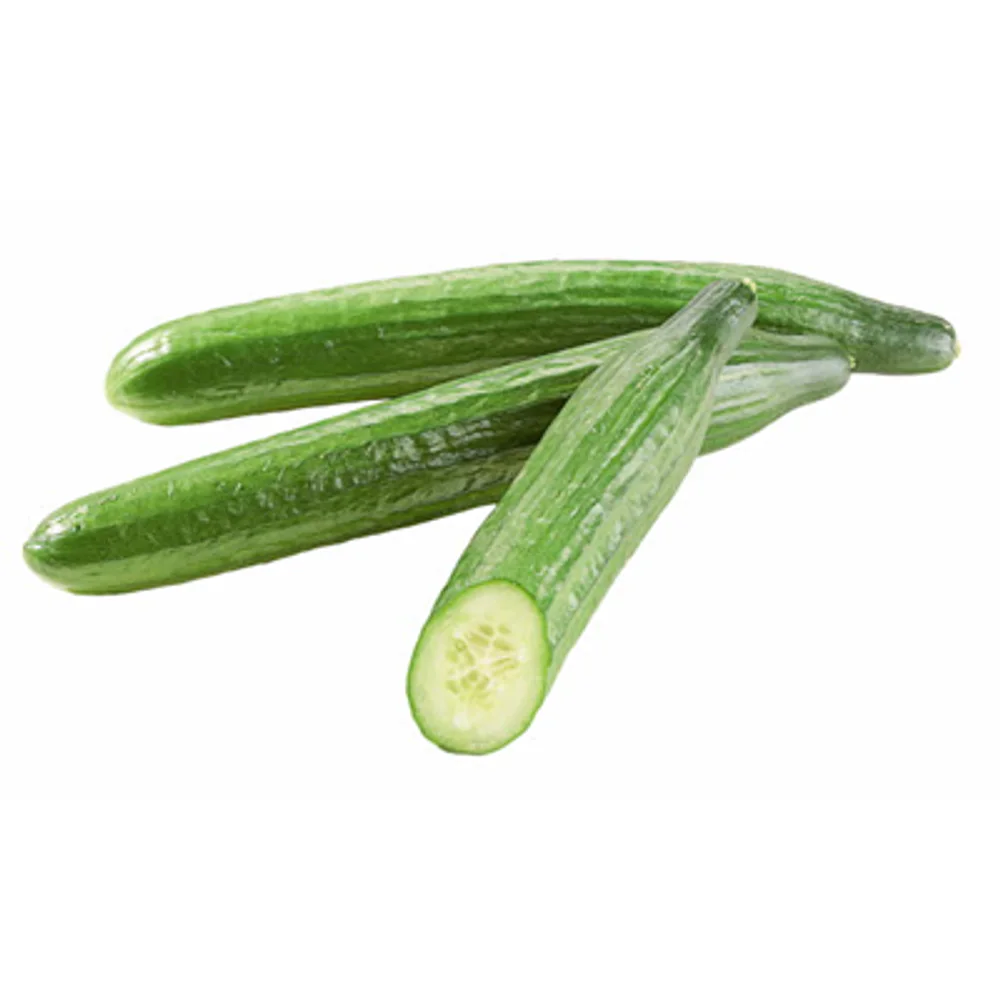 Krastavac salatni