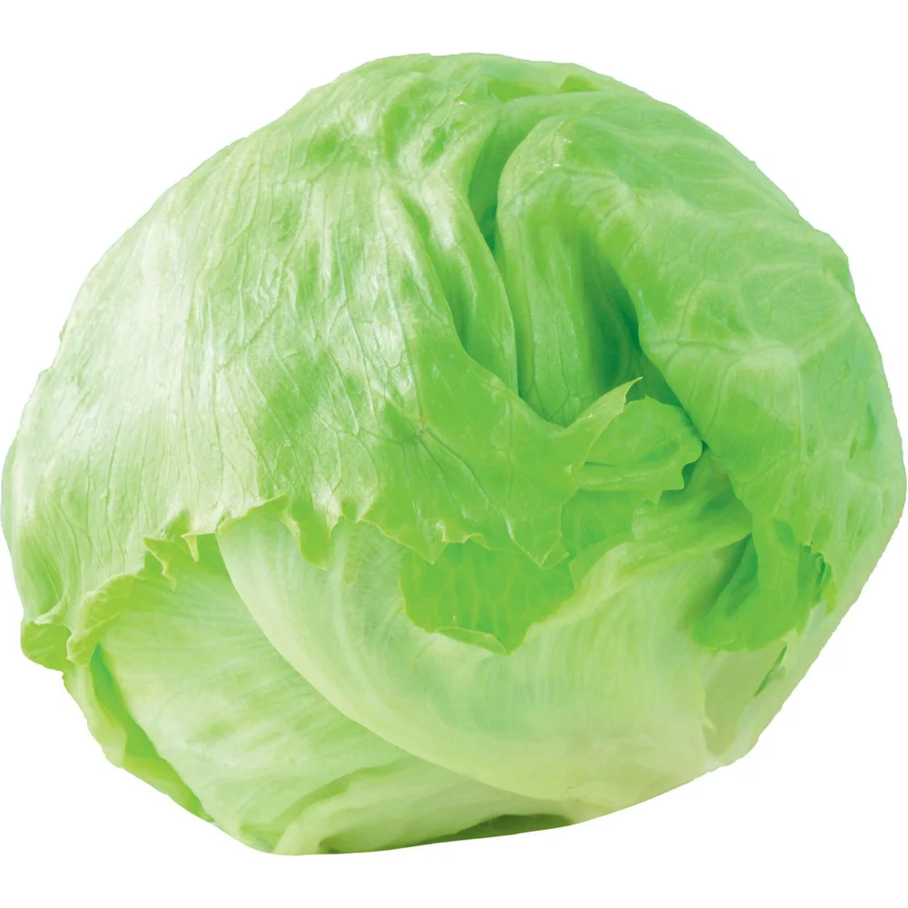 Salata Iceberg